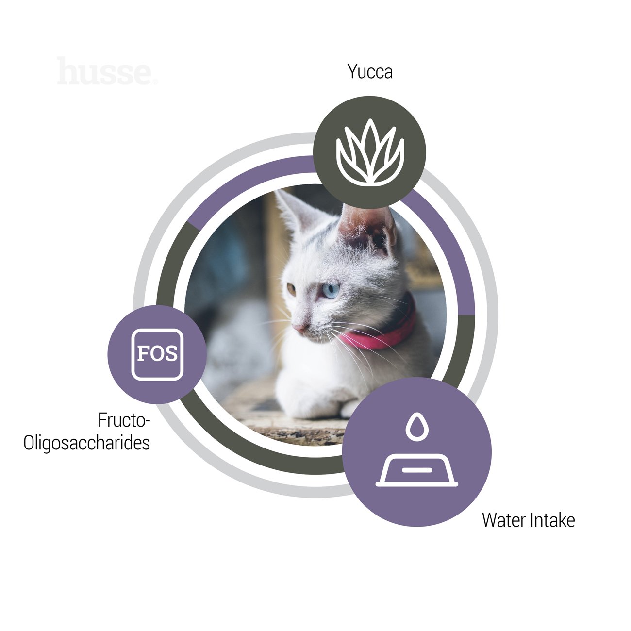 Сухий корм Exclusive Urinary 2 кг для котів