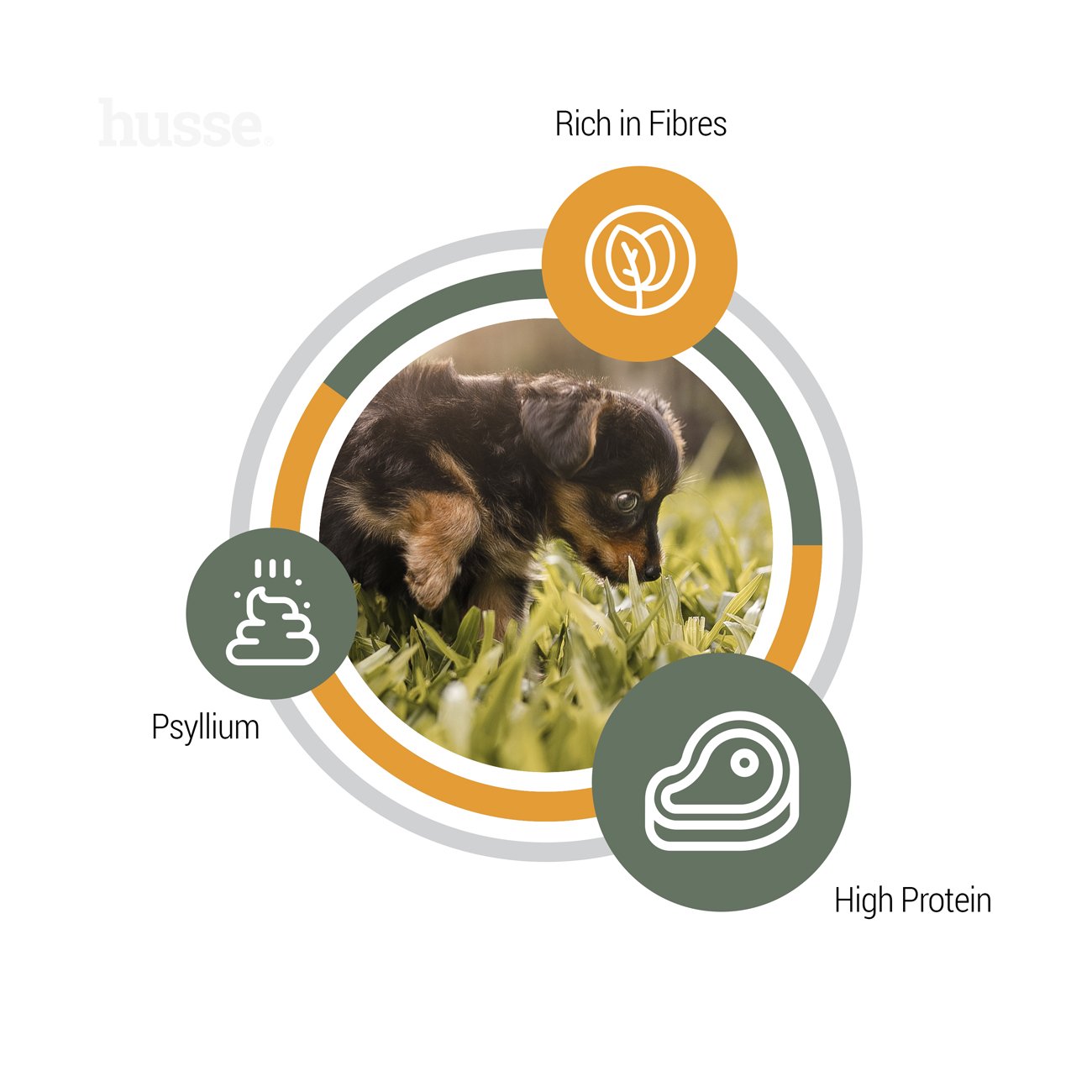 Сухий корм Valp Plus 2 кг для цуценят та годуючих сук