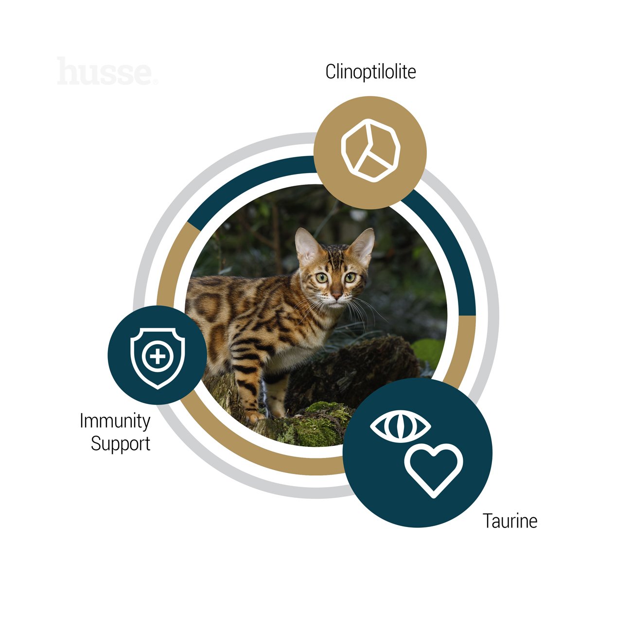 Сухий беззерновий корм Lynx Senior 7 кг для літніх котів