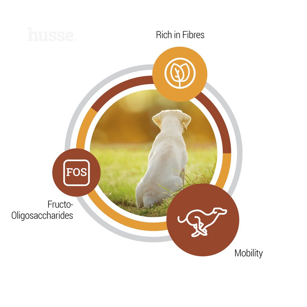 Сухий корм Valp Maxi 15 кг для цуценят великих порід