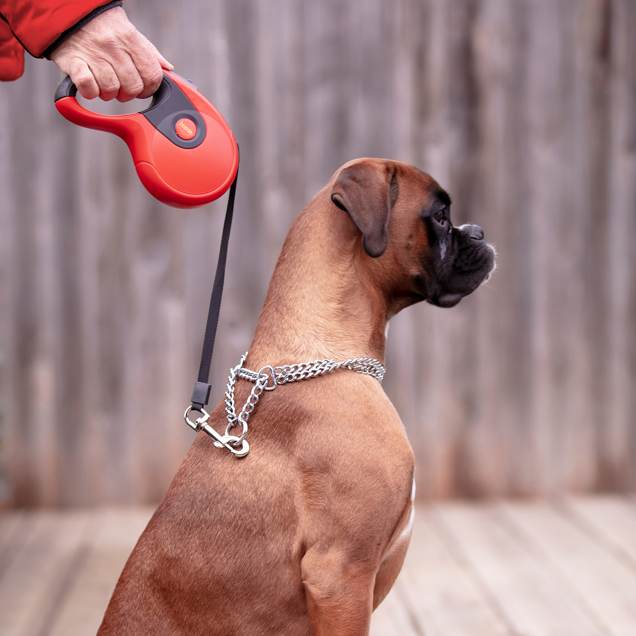 Повідець-рулетка для собак, 5 м