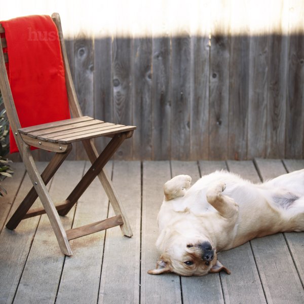 Флісова ковдра Husse, розм.S