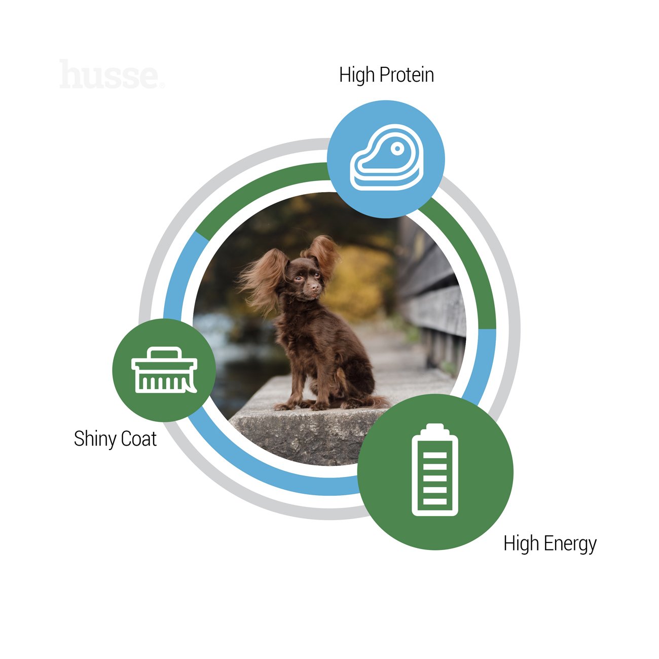 Сухий корм Optimal Mini 2 кг для собак малих порід