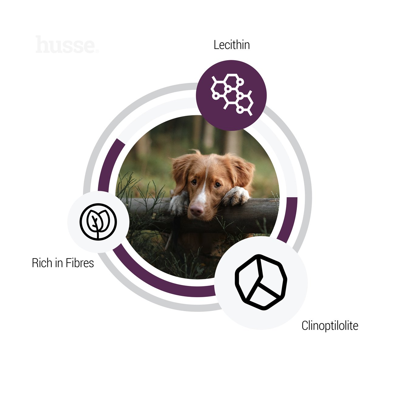 Сухий корм Light Sensitive 12,5 кг для собак з чутливим травленням