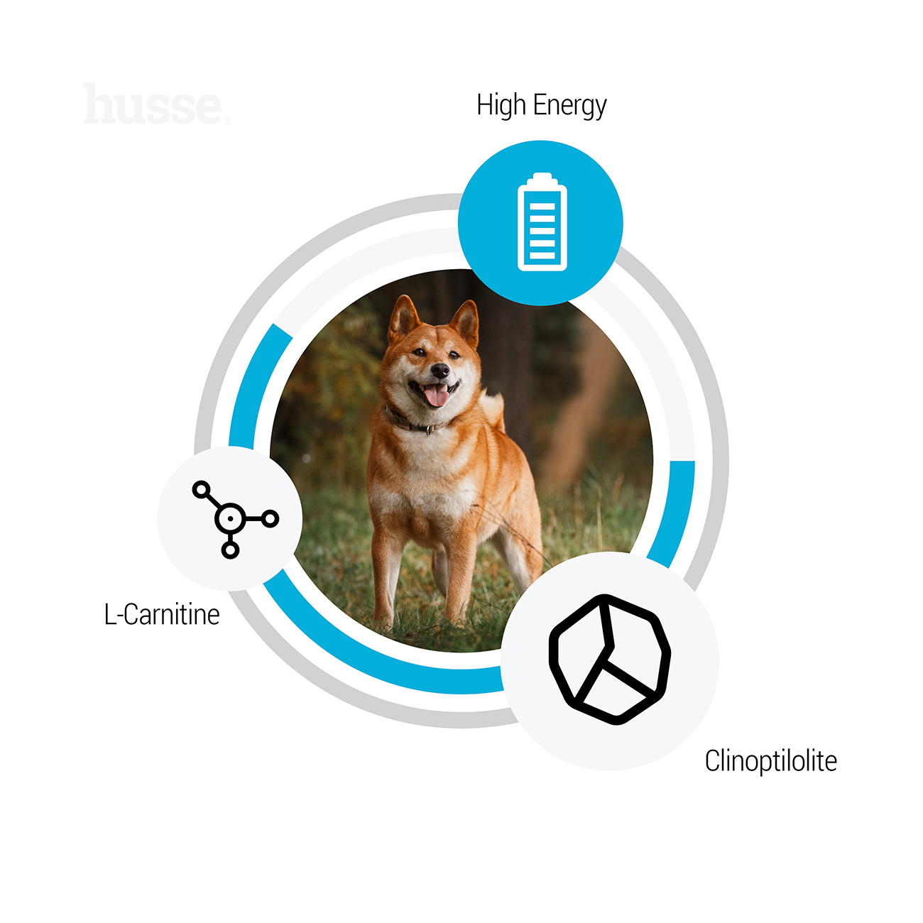 Сухий корм Optimal Sensitive 12,5 кг для собак з чутливим травленням