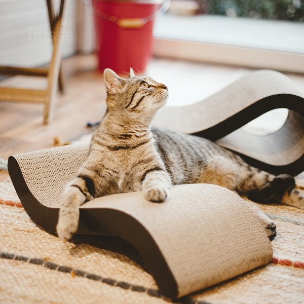 Кігтеточка Krusa для здоров'я та активності котів