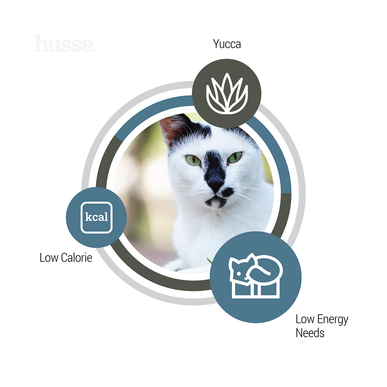 Сухий корм Exclusive Light 2 кг для котів