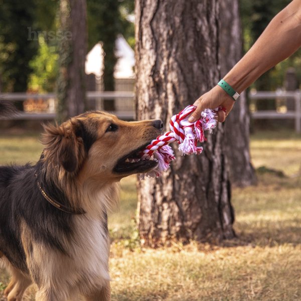 Мотузяна іграшка для собак, S