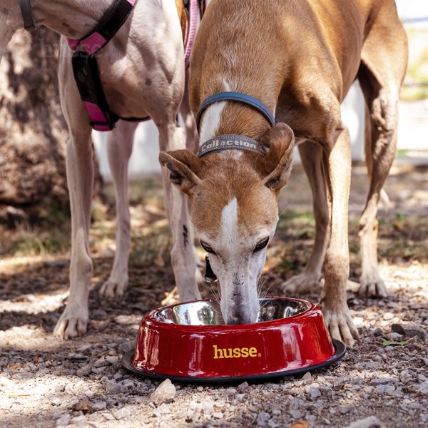 Миска для домашніх тварин, мала d 15,5 см