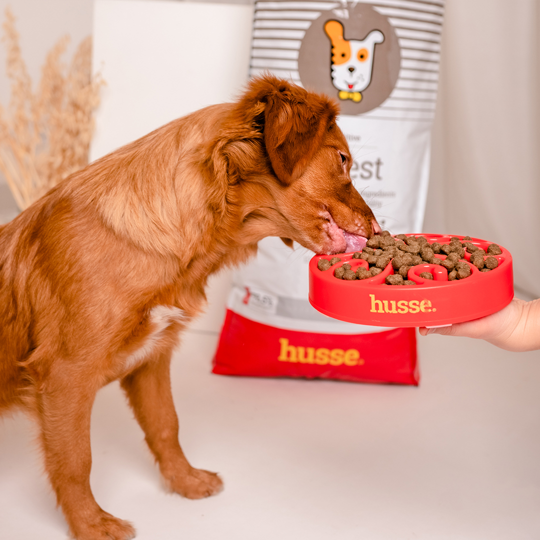 Сухий корм Digest 2 кг для собак з чутливим травленням