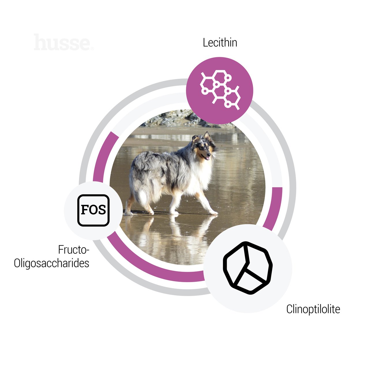 Сухий корм Ocean Care Sensitive 12,5 кг для собак з чутливим травленням