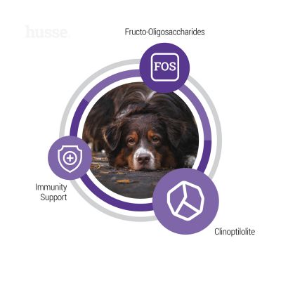 Сухий корм Senior 15 кг для літніх собак