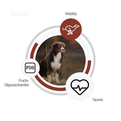 Сухий корм Digest Giant 12,5 кг для собак великих порід