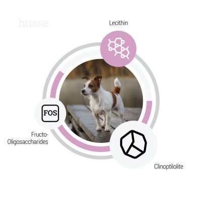 Сухий корм Ocean Care Mini 2 кг для собак малих порід