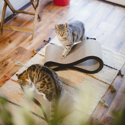 Кігтеточка Knut для здоров'я та активності котів