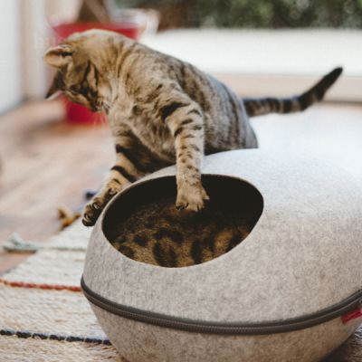 Ліжко з фетру Krypin для котів