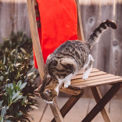 Флісова ковдра Husse, розм.S