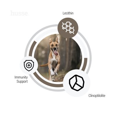 Сухий корм Digest 2 кг для собак з чутливим травленням