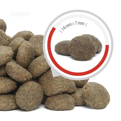 Сухий корм Pro Selekt 20 кг для собак з чутливим травленням