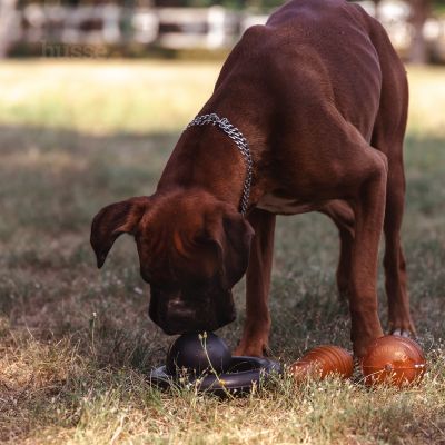 Іграшка для собак Кегля, L