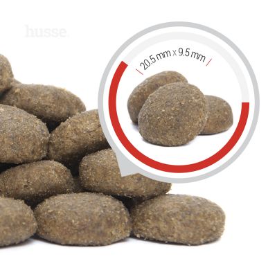 Сухий корм Pro Aktiv 20 кг для собак