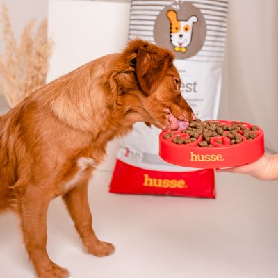 Сухий корм Digest 2 кг для собак з чутливим травленням